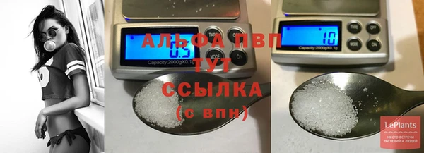 гидра Вязьма