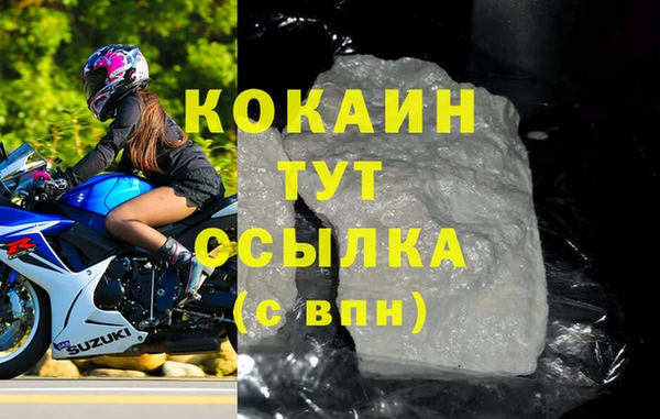 гидра Вязьма