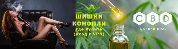 прущие грибы Володарск