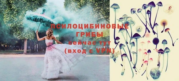 гидра Вязьма