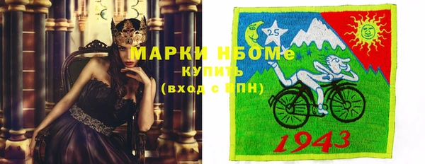 прущие грибы Володарск