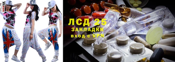 гидра Вязьма