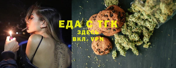 гидра Вязьма