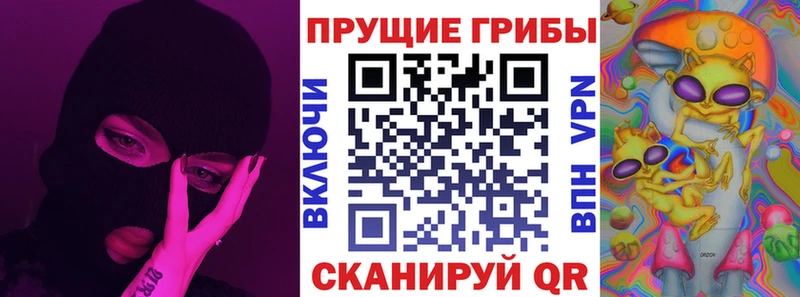 mega ONION  продажа наркотиков  Зеленодольск  Псилоцибиновые грибы Psilocybe 