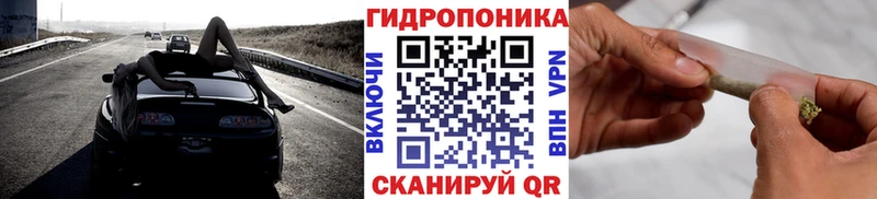 магазин продажи наркотиков  Зеленодольск  Шишки марихуана тримм 